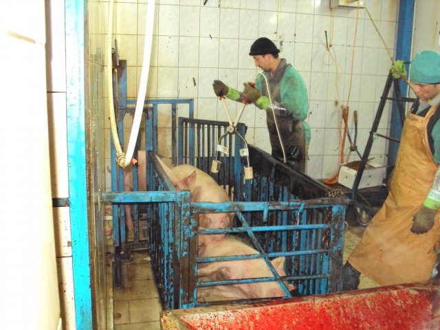 Реализация объекта мясопереработки в Серпухове