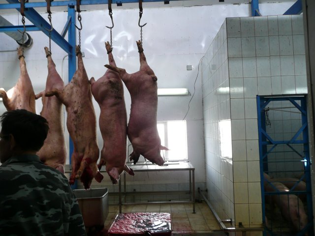 Реализация объекта мясопереработки в Серпухове