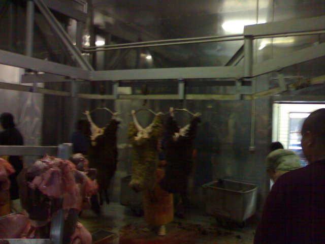 Реализация проекта цеха по убою скота и первичной переработки туш г. Элиста