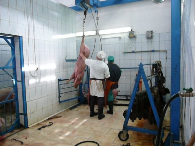 Реализация объекта мясопереработки в Серпухове