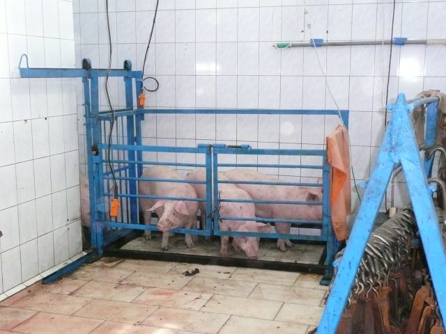 Реализация объекта мясопереработки в Серпухове