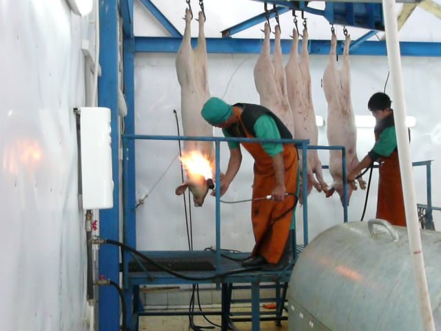 Реализация объекта мясопереработки в Серпухове