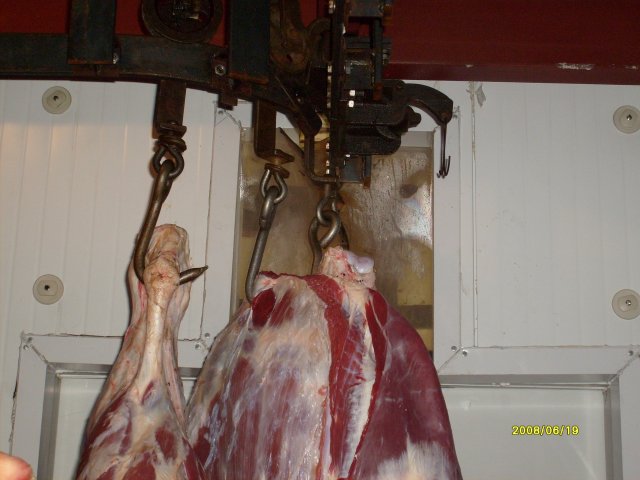 Реализация проекта цеха по убою скота в Орехово-Зуево