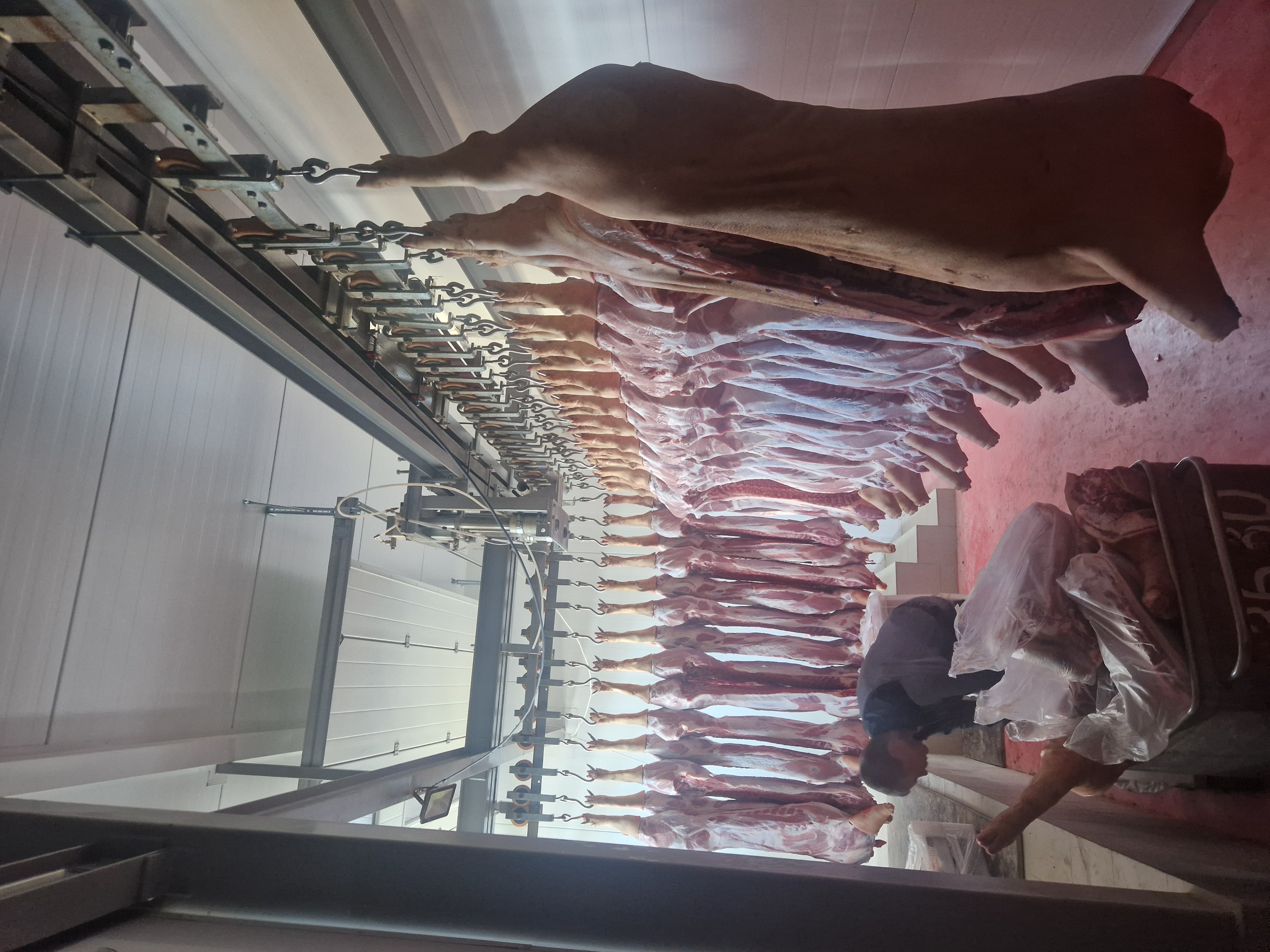 Реновация подвесных путей с установкой грузотянущего конвейера. Тихорецкий бекон