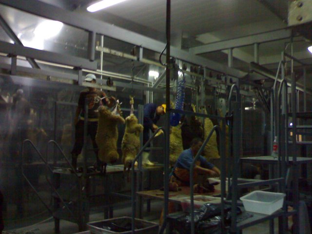 Реализация проекта цеха по убою скота и первичной переработки туш г. Элиста