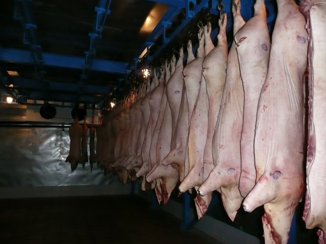 Реализация объекта мясопереработки в Серпухове