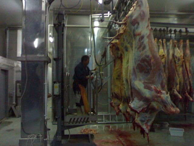 Реализация проекта цеха по убою скота и первичной переработки туш г. Элиста