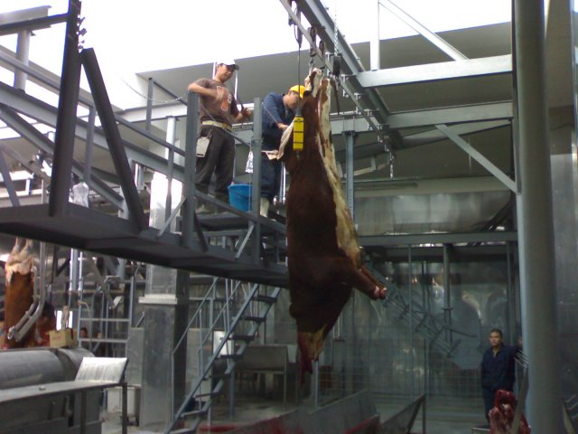 Реализация проекта цеха по убою скота и первичной переработки туш г. Элиста