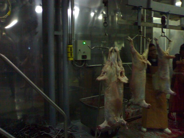 Реализация проекта цеха по убою скота и первичной переработки туш г. Элиста