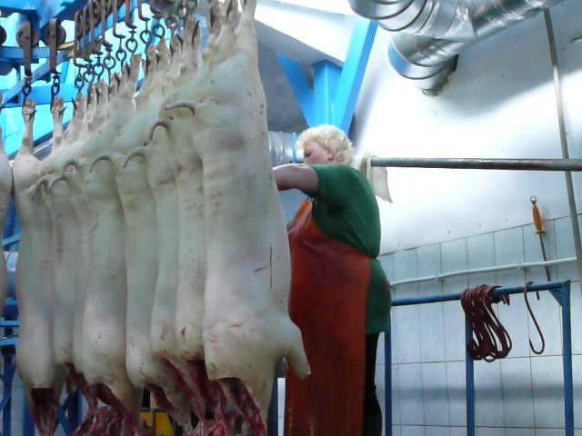 Реализация объекта мясопереработки в Серпухове