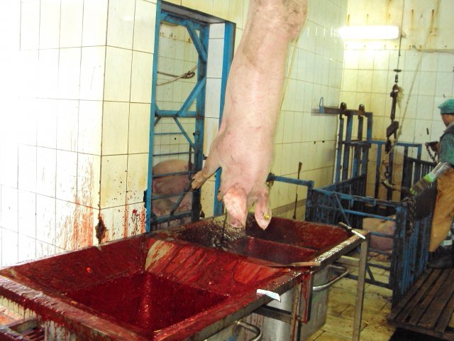 Реализация объекта мясопереработки в Серпухове