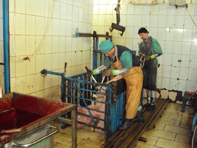 Реализация объекта мясопереработки в Серпухове